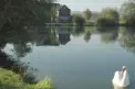 Dorfteich