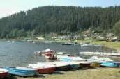 die Alter.Bucht in Saalthal am Hohenwartestausee